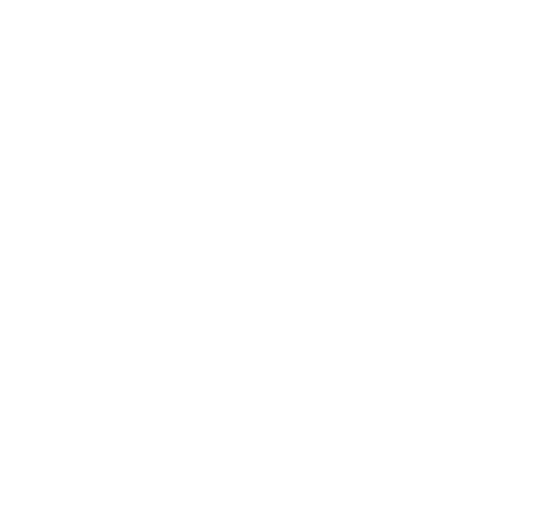 Pellecima Logo